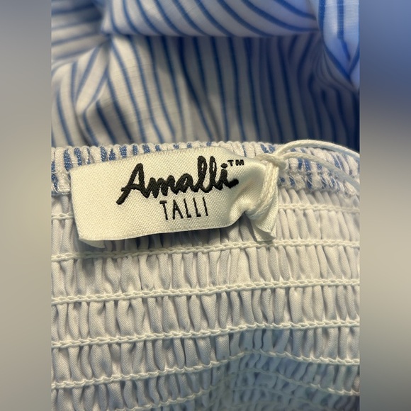 NWT $99 Amalli Talli Catalina Striped Tall Maxi Dress Blue White Sz Small - Picture 8 of 11